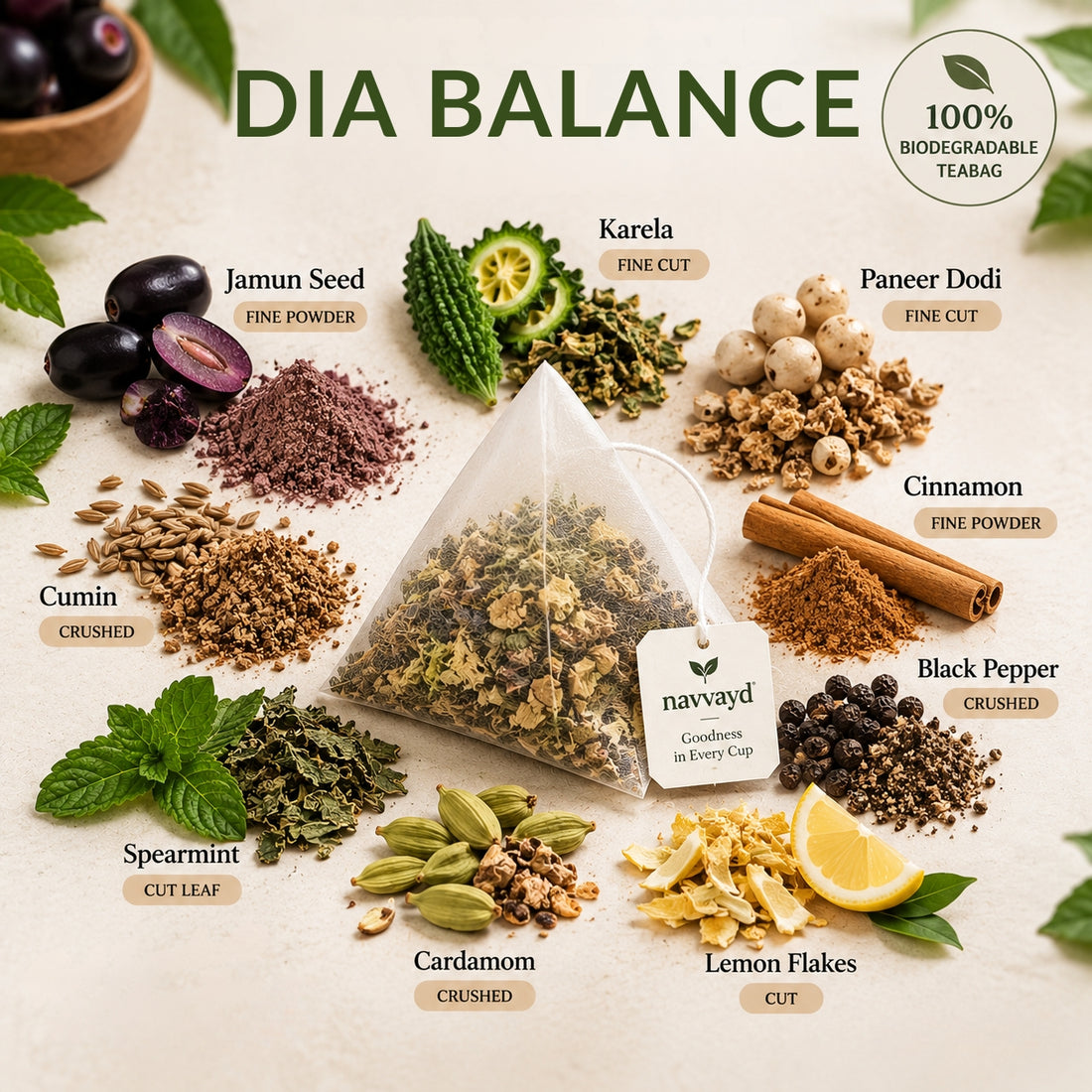 Dia Balance - Herbal Infusion | Jamun, Karela, Paneer Dodi